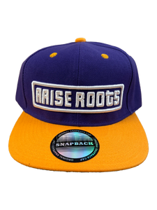 Purple/Yellow Snapback