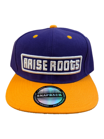 Purple/Yellow Snapback